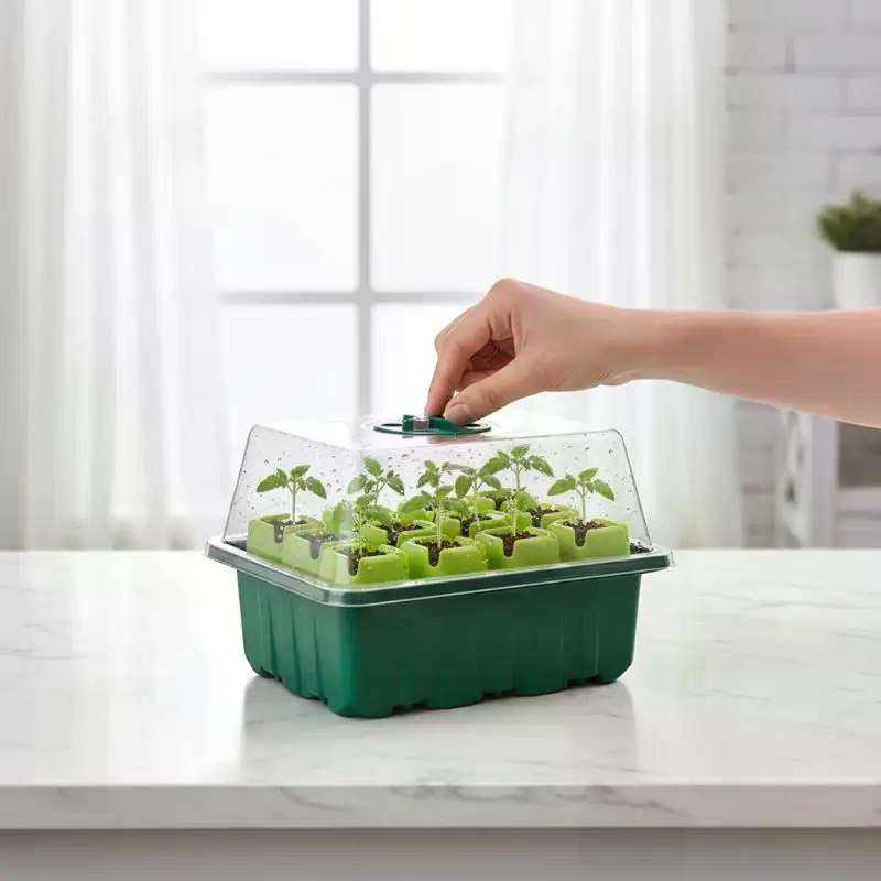 Propagation Tray Dome - Zestaw do rozsady: mini szklarnia, taca