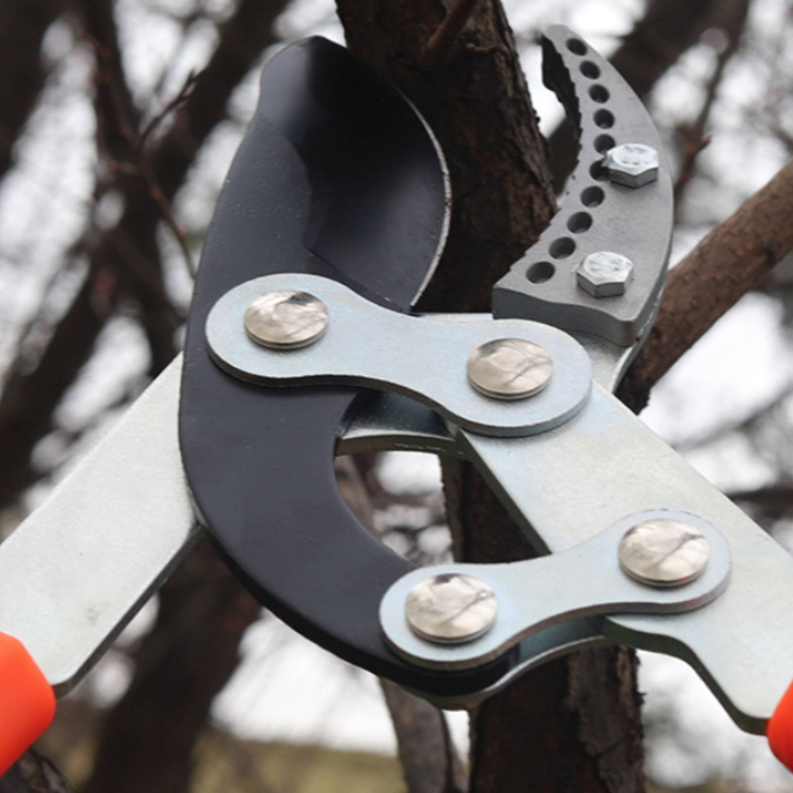 Gardening Tools Of - Teleskopowe nożyce do gałęzi z ostrym