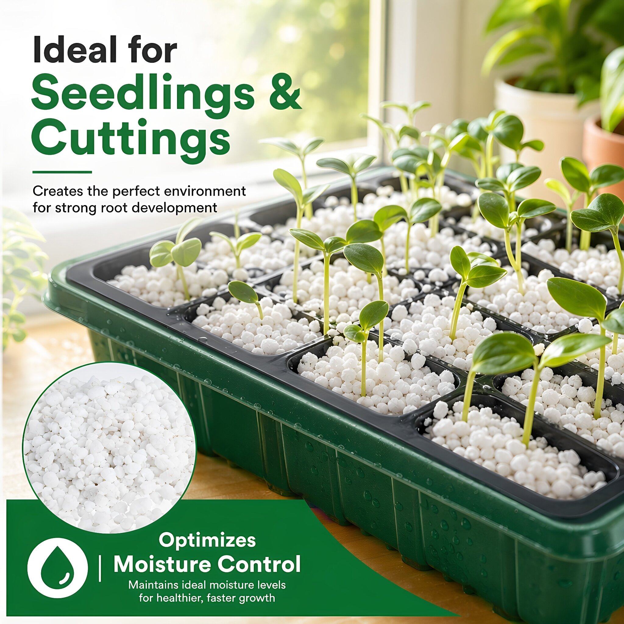 5 litrów perlitu do uprawy roś – Horticulture Soil Perlite recenzja i cena