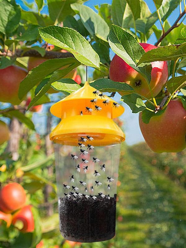 2 szt. Pułapki na muchy wielok – Grow Bags recenzja i cena