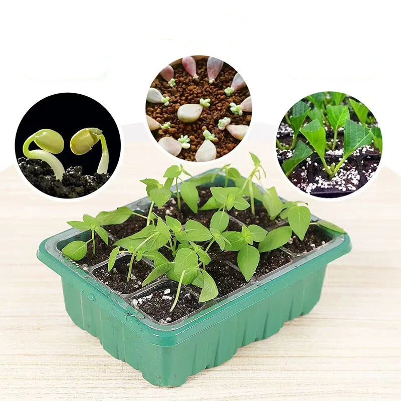 5 sztuk, zestaw do sadzenia i  – Propagation Tray Dome recenzja i cena