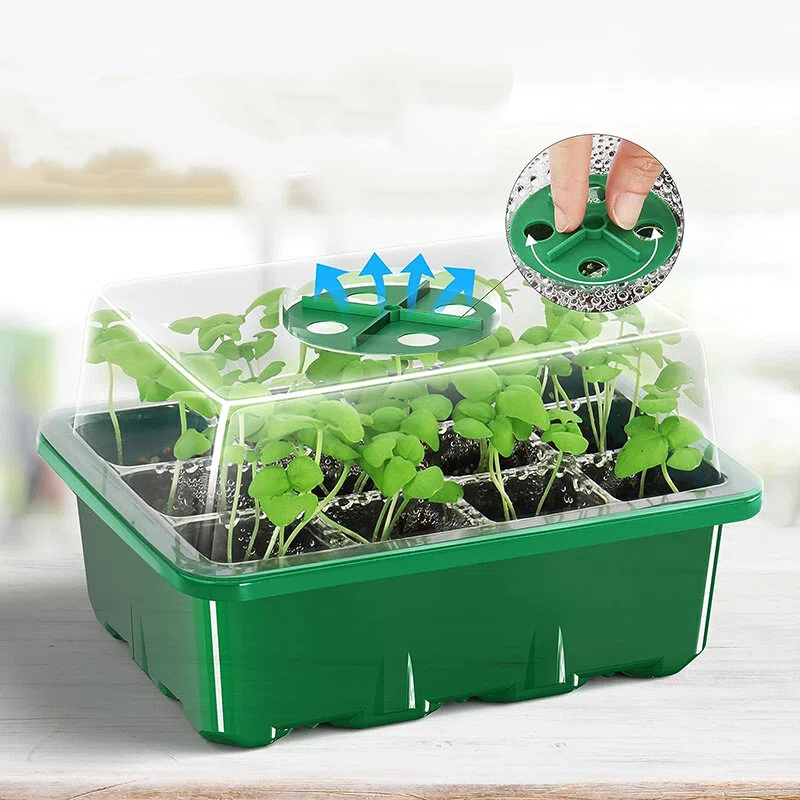 5 sztuk, zestaw do sadzenia i  – Propagation Tray Dome recenzja i cena
