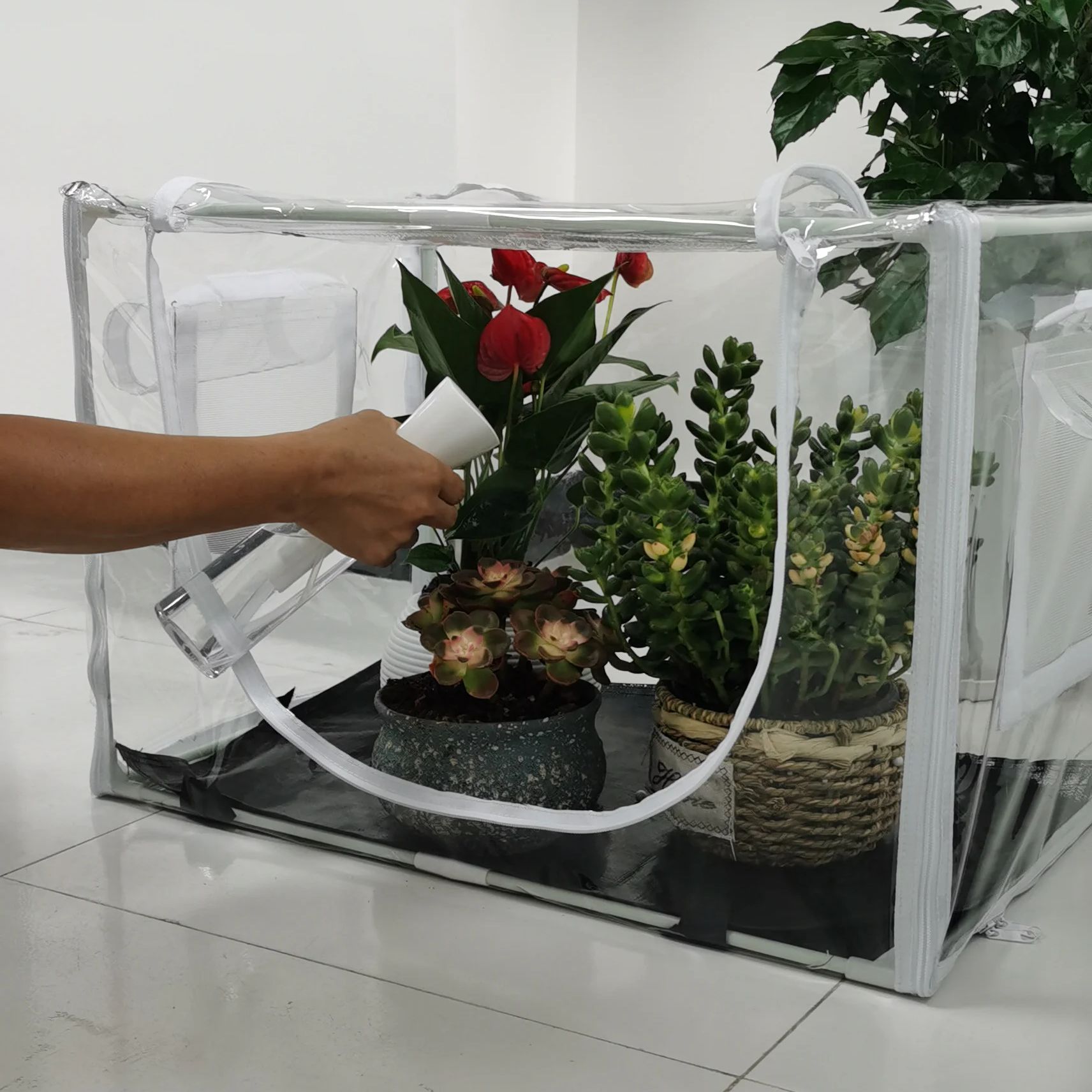 Kompaktowa szklarnia do użytku – Grow Bags recenzja i cena
