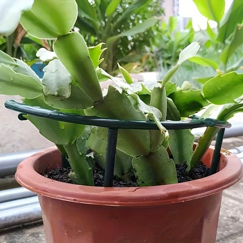 30-1 SZT. Plastikowe Podpórki  – Gardening Tools Gifts recenzja i cena