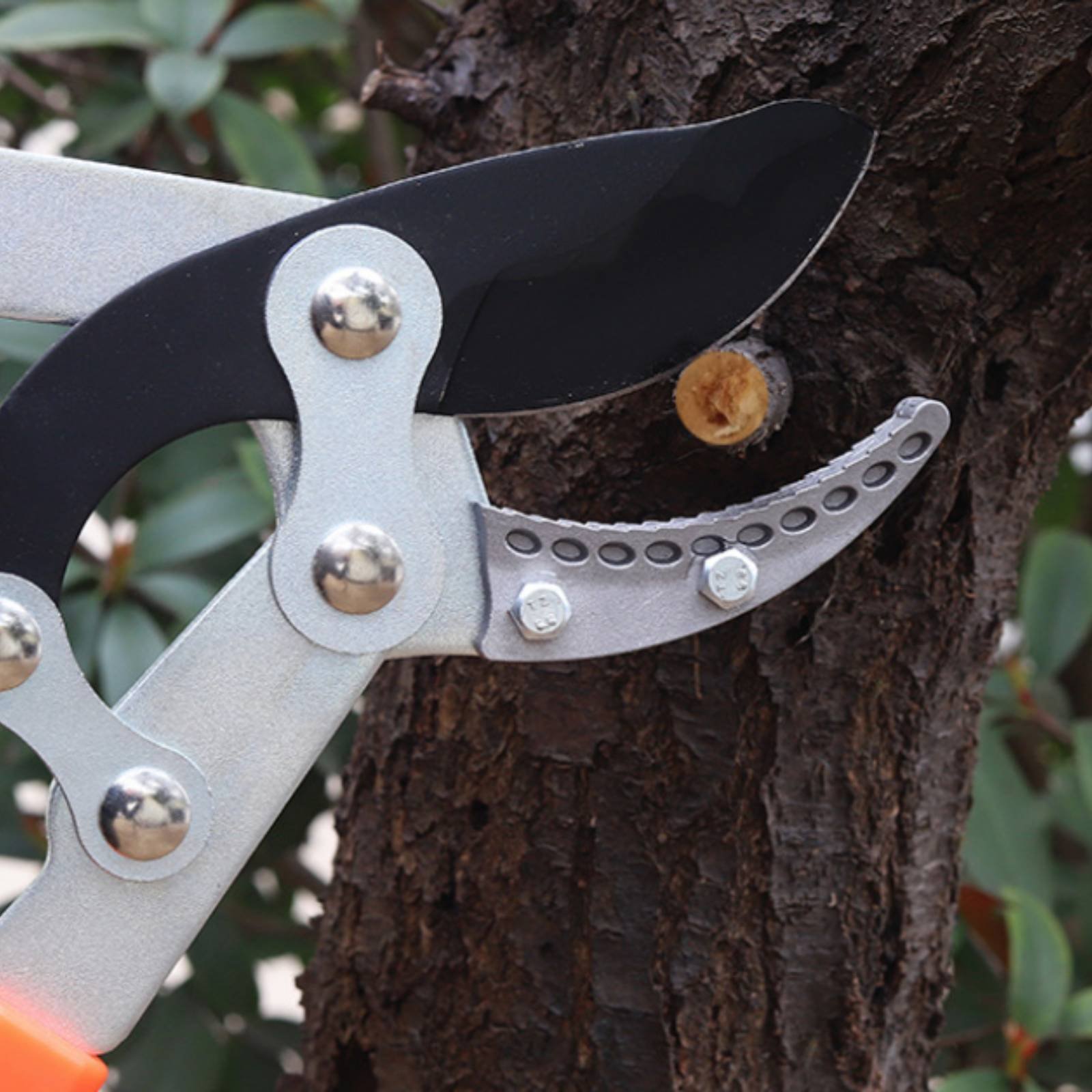 Teleskopowe nożyce do gałęzi z – Gardening Tools Of recenzja i cena