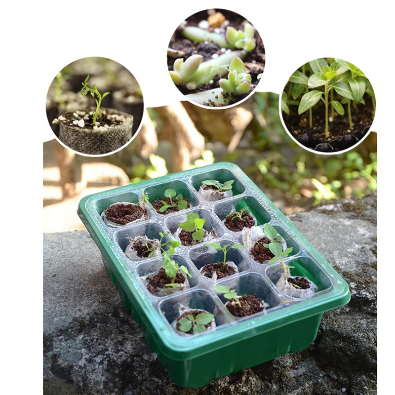 Wyprzedaż! Taca do wysiewu nas – Propagation Tray Dome recenzja i cena